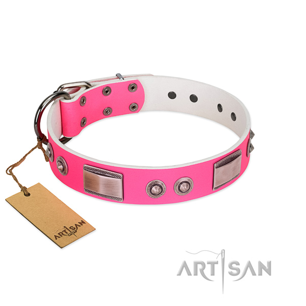 Remarkable leather collar with decorations for your canine
