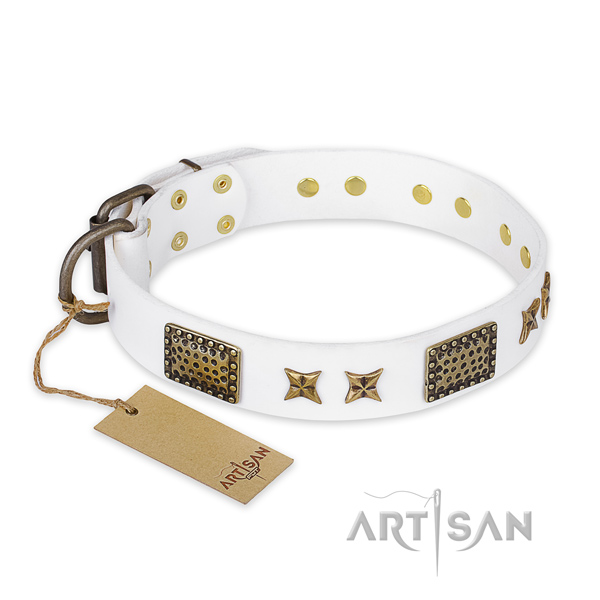 Top quality leather dog collar with strong hardware