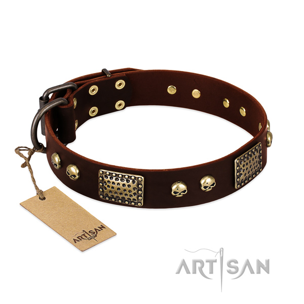 Easy to adjust genuine leather dog collar for walking your pet
