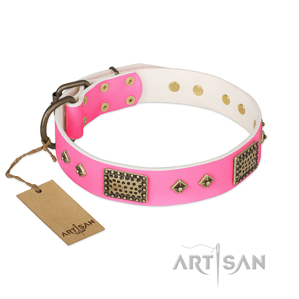 Adjustable leather dog collar for stylish walking your pet