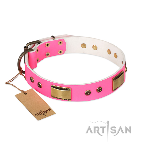 Incredible full grain leather collar for your dog