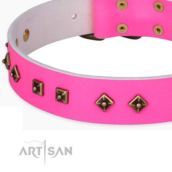 Adorned leather collar for your beautiful dog