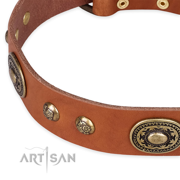 Unique leather collar for your lovely four-legged friend