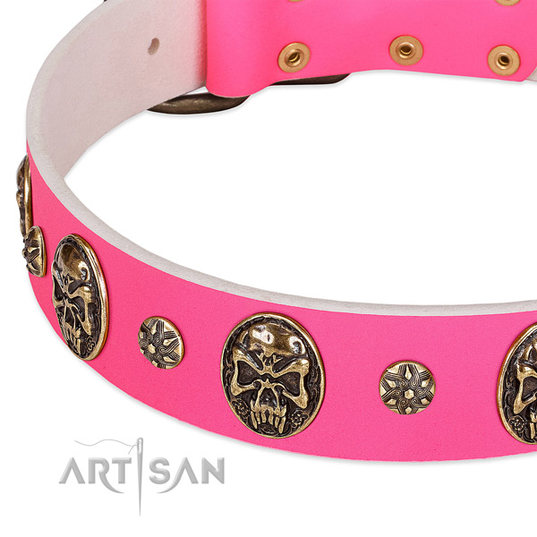 Extraordinary dog collar crafted for your attractive dog