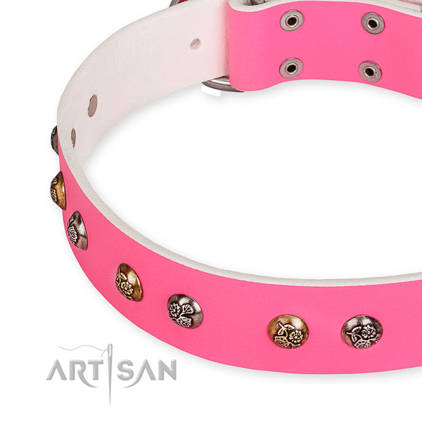 Full grain leather dog collar with stylish strong embellishments