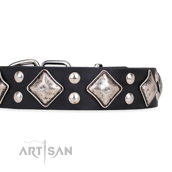 Full grain leather dog collar with stylish strong embellishments