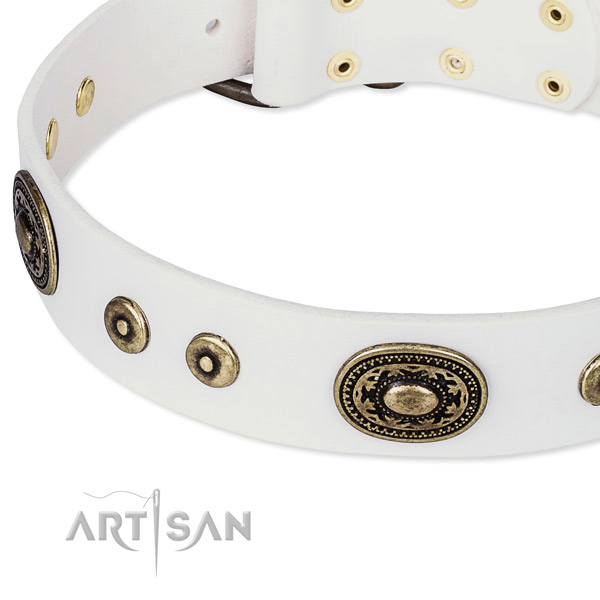 Full grain leather dog collar made of flexible material with adornments