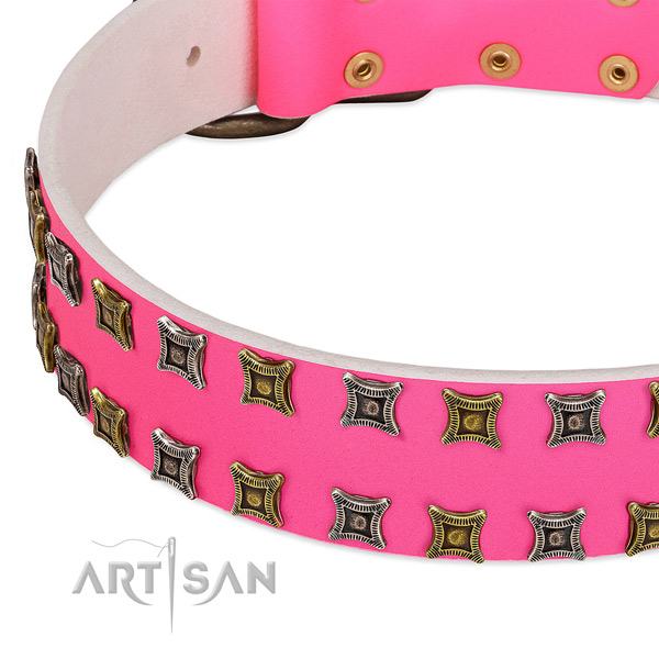 Leather dog collar with adornments for your impressive doggie