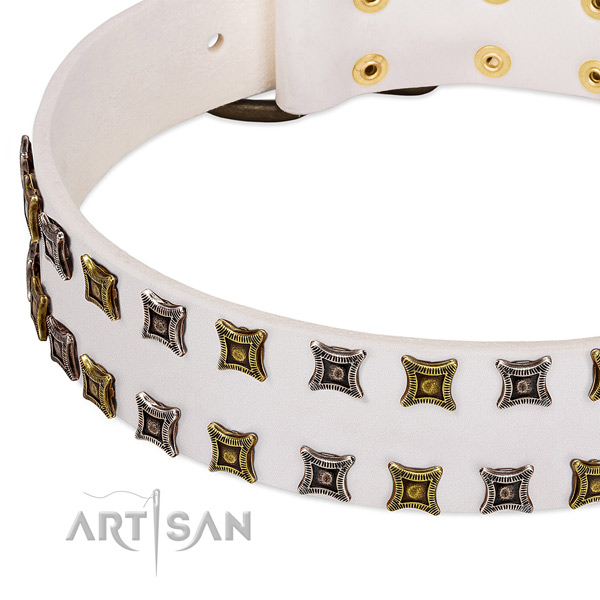 Reliable natural leather dog collar for your stylish dog