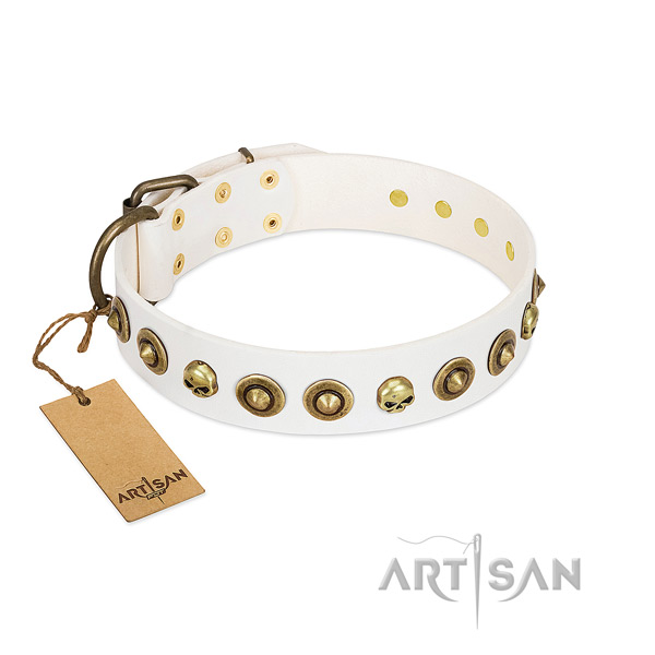 Genuine leather collar with extraordinary adornments for your four-legged friend