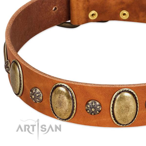 Handy use best quality full grain leather dog collar