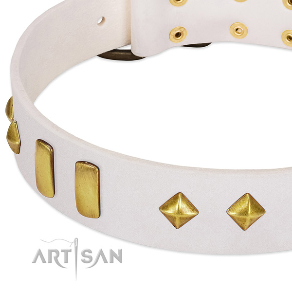 Daily walking genuine leather dog collar with unusual decorations