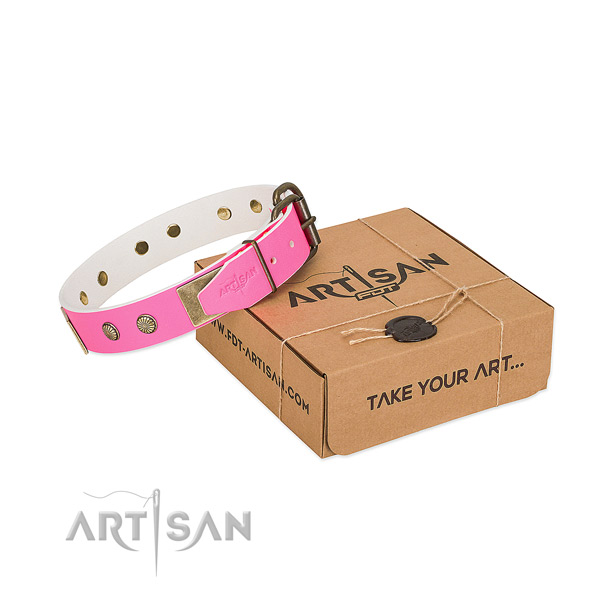 Strong decorations on dog collar for stylish walking