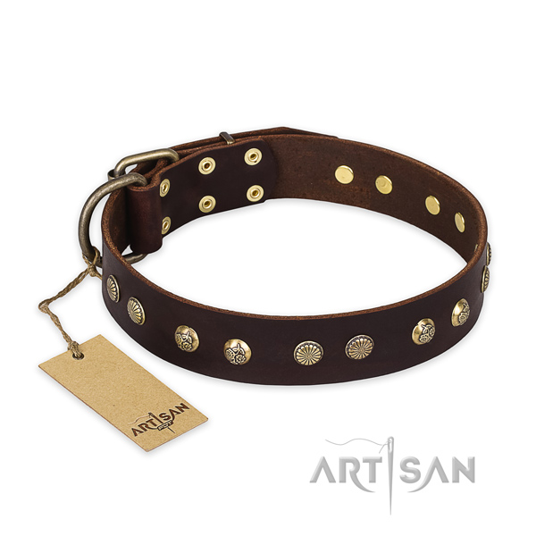 Studded leather dog collar with rust-proof traditional buckle
