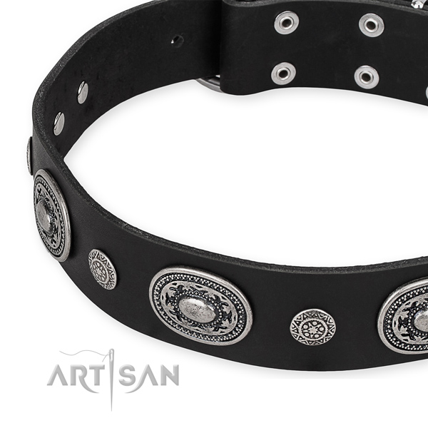 Top notch full grain leather dog collar crafted for your impressive four-legged friend