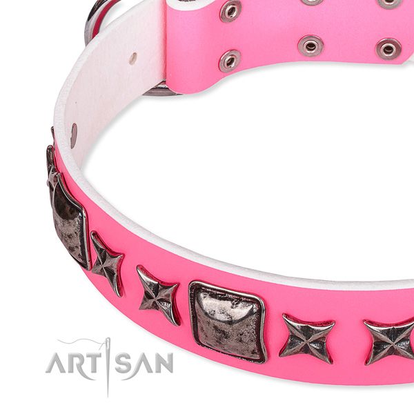 Everyday walking embellished dog collar of fine quality full grain natural leather