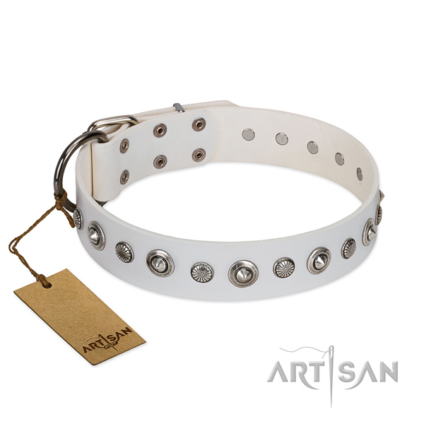 Durable full grain natural leather dog collar with unique studs