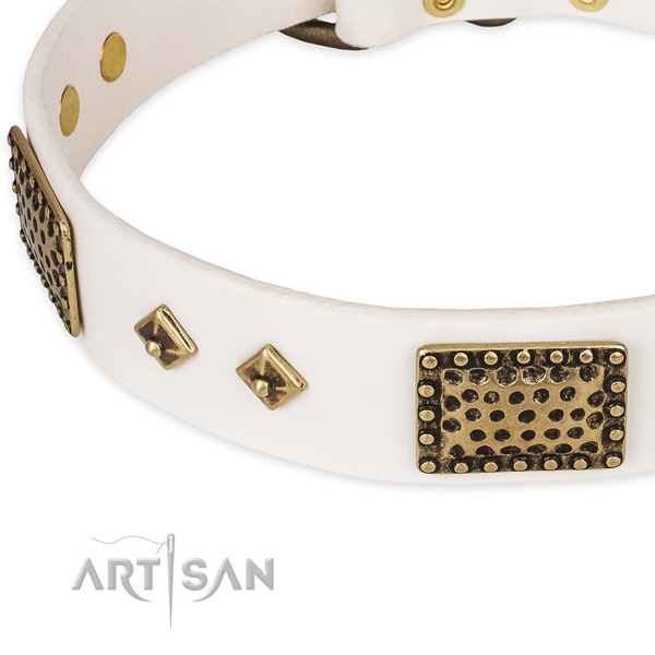 Reliable decorations on full grain leather dog collar for your four-legged friend