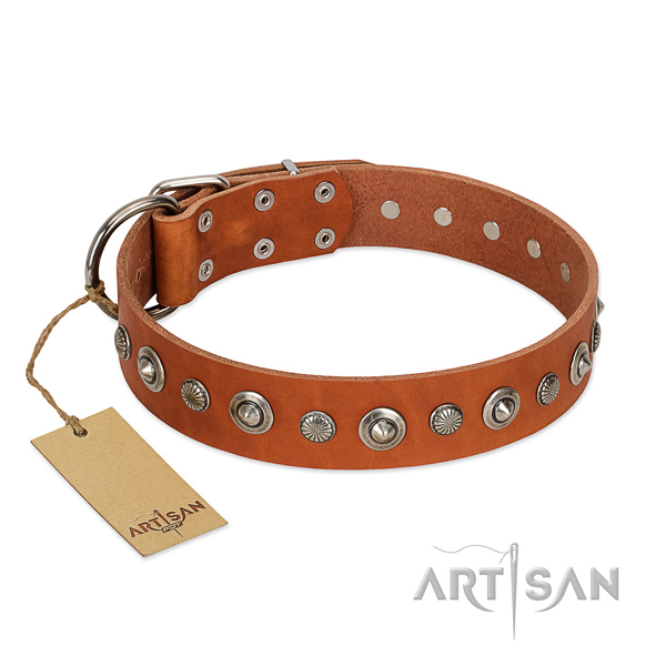 Strong natural leather dog collar with stylish design embellishments