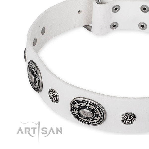 Reliable natural genuine leather dog collar created for your lovely doggie