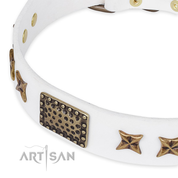 Genuine leather collar with rust-proof traditional buckle for your impressive doggie