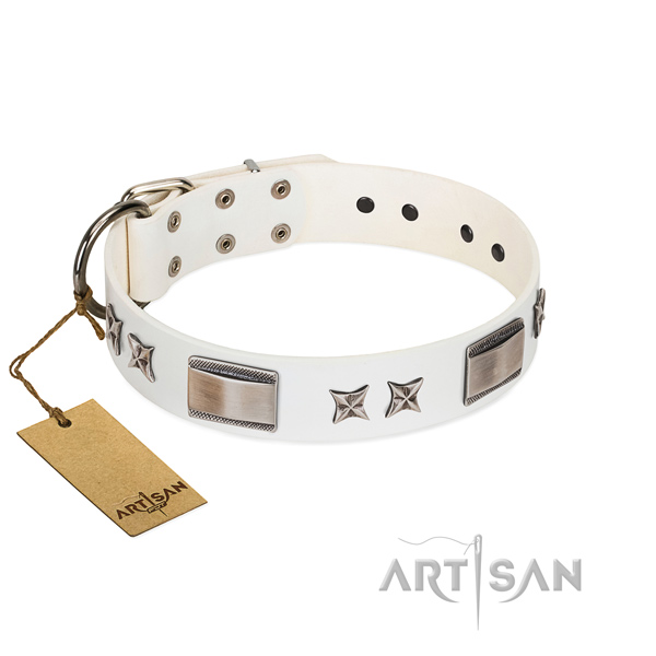 Adorned dog collar of leather