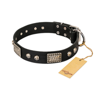 "Pirates Gold" FDT Artisan Black Leather German Shepherd Collar with Old Silver Look Plates and Skulls