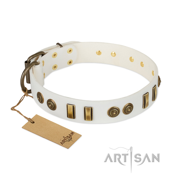 Corrosion proof fittings on natural leather dog collar for your doggie