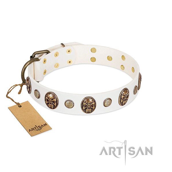 Studded full grain leather dog collar for fancy walking