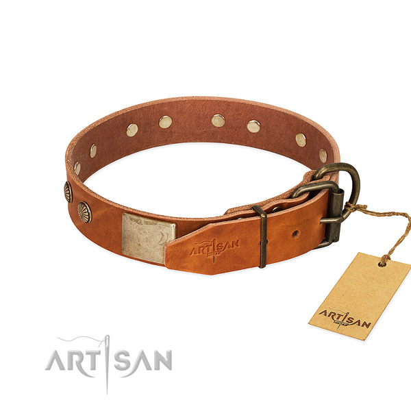 Rust-proof traditional buckle on everyday use dog collar