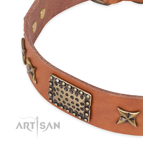 Full grain leather collar with corrosion resistant hardware for your attractive dog