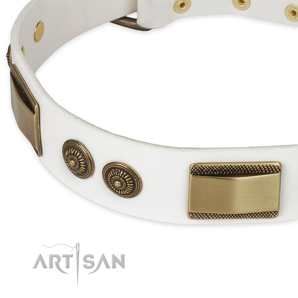 Rust resistant studs on full grain genuine leather dog collar for your pet