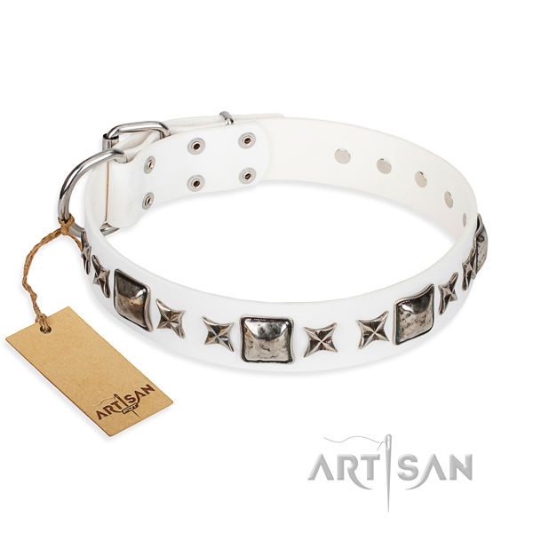 Leather dog collar made of top notch material with reliable traditional buckle