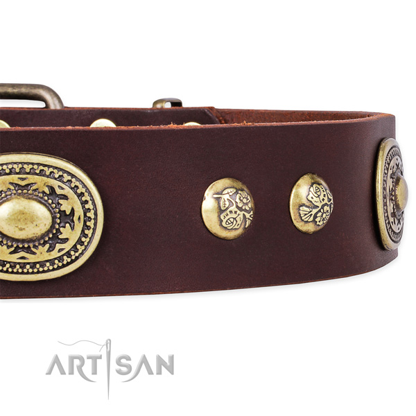 Exquisite full grain genuine leather collar for your stylish pet