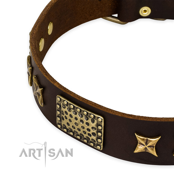 Full grain genuine leather collar with corrosion proof D-ring for your stylish canine