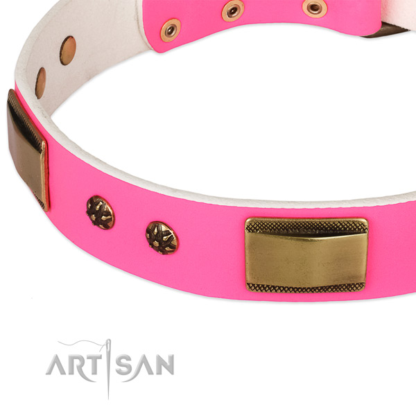 Corrosion resistant buckle on natural genuine leather dog collar for your doggie