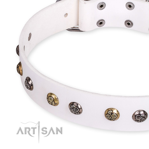 Full grain natural leather dog collar with top notch durable embellishments