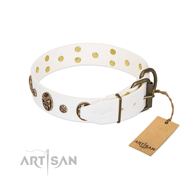 Rust resistant embellishments on leather dog collar for your canine