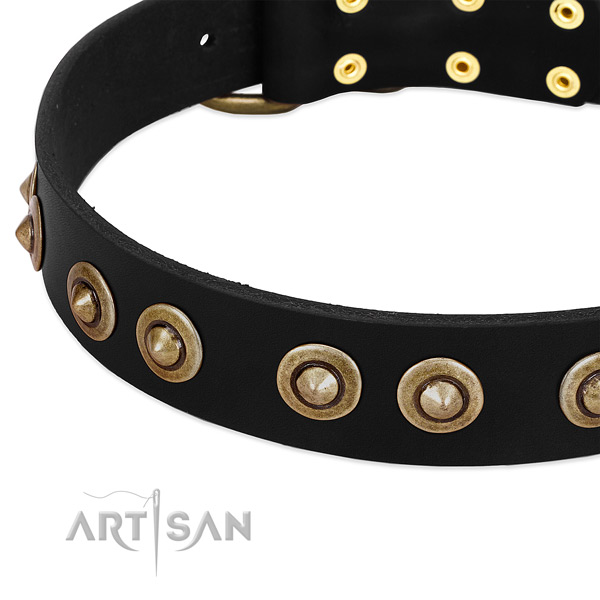 Rust-proof D-ring on leather dog collar for your canine