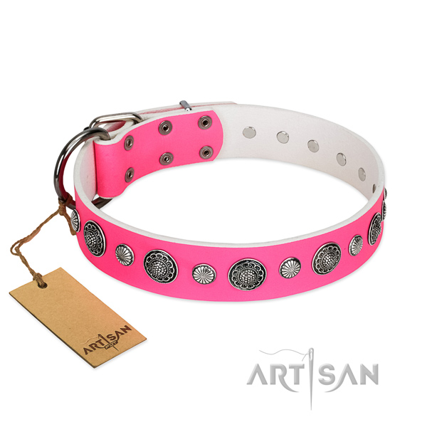 Quality genuine leather dog collar with rust resistant D-ring