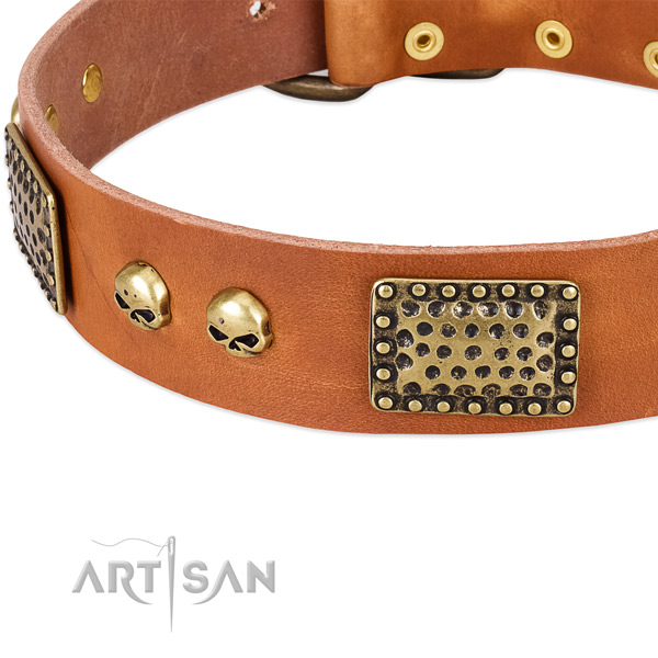 Strong traditional buckle on genuine leather dog collar for your doggie
