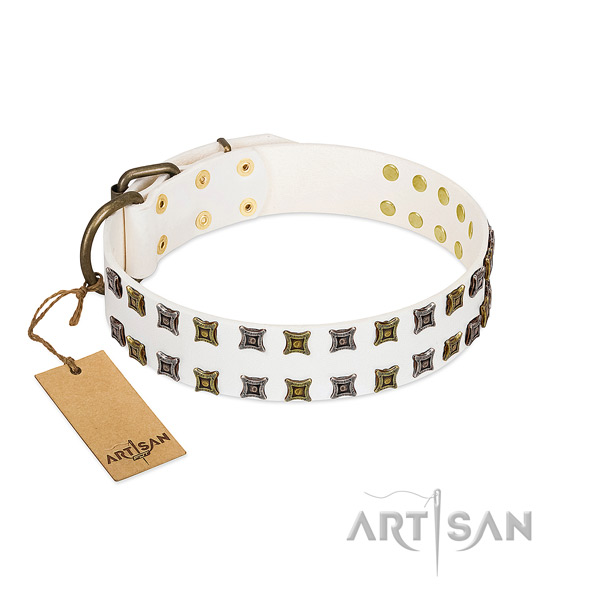 Reliable full grain natural leather dog collar with decorations for your canine