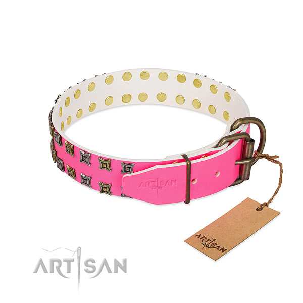 Leather collar with inimitable adornments for your canine