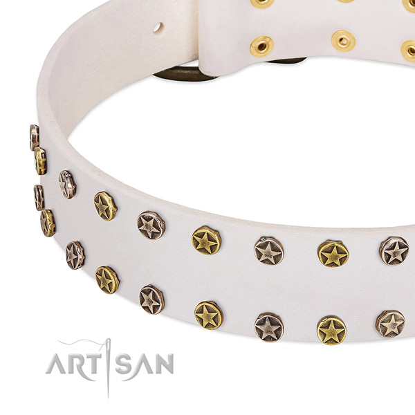Exceptional adornments on full grain natural leather collar for your dog