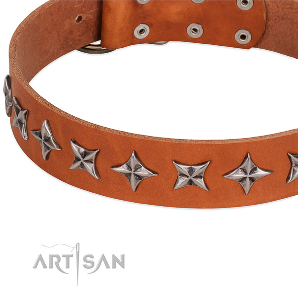 Basic training decorated dog collar of strong full grain leather