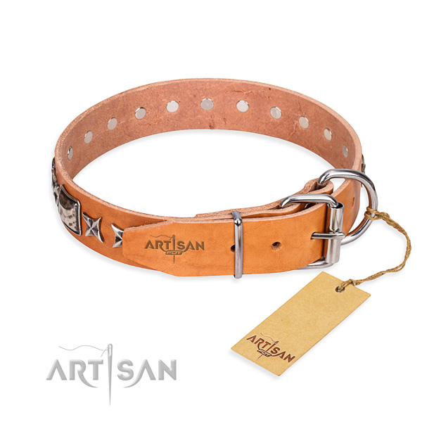 Quality adorned dog collar of natural leather