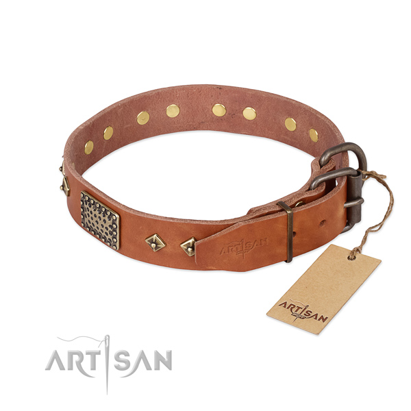 Leather dog collar with corrosion resistant buckle and decorations