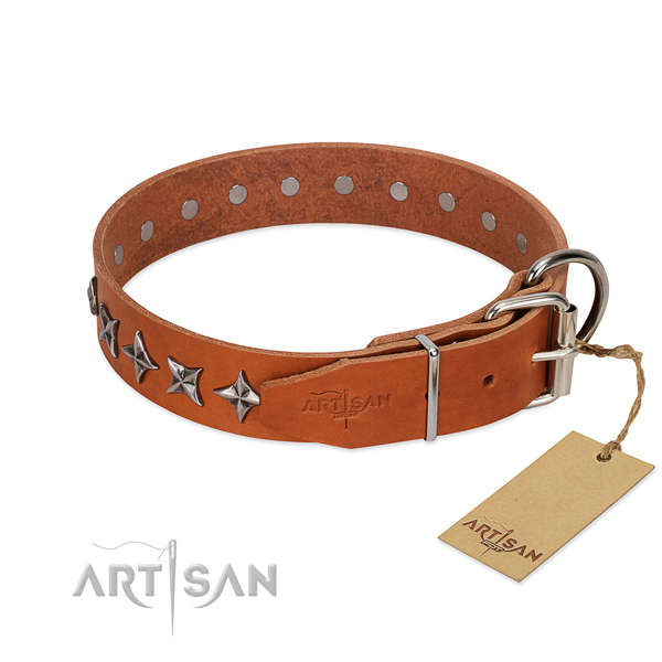 Everyday walking embellished dog collar of reliable natural leather