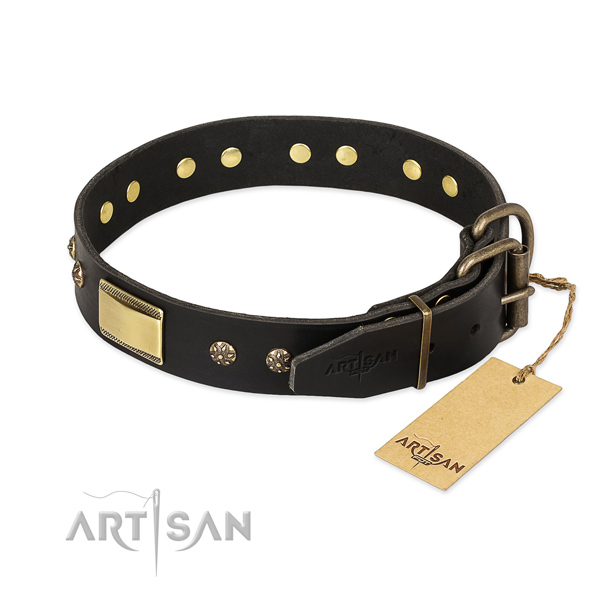 Natural leather dog collar with rust resistant fittings and decorations