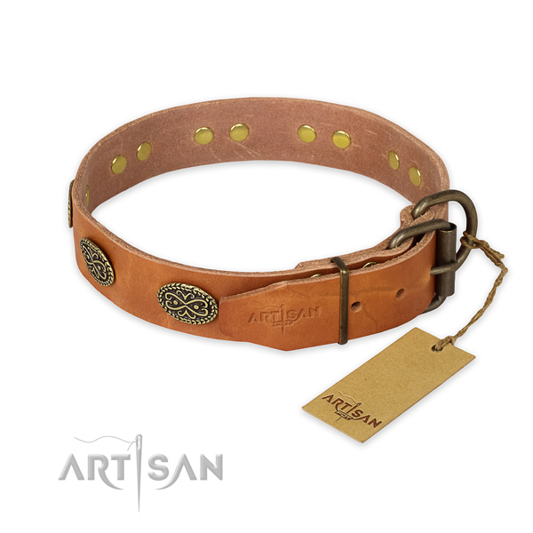 Strong buckle on leather collar for daily walking your dog